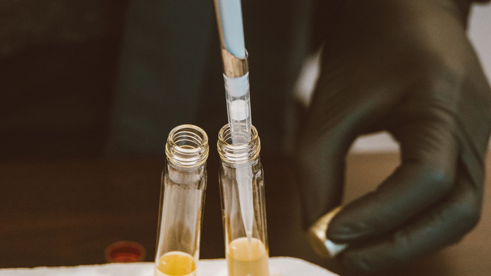 A gloved hand holds a pipette over rows of test tubes on a laboratory bench.