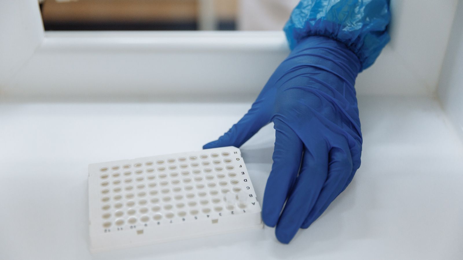 A scientist wearing protective gloves handles test samples on a bench inside a sterile laboratory.