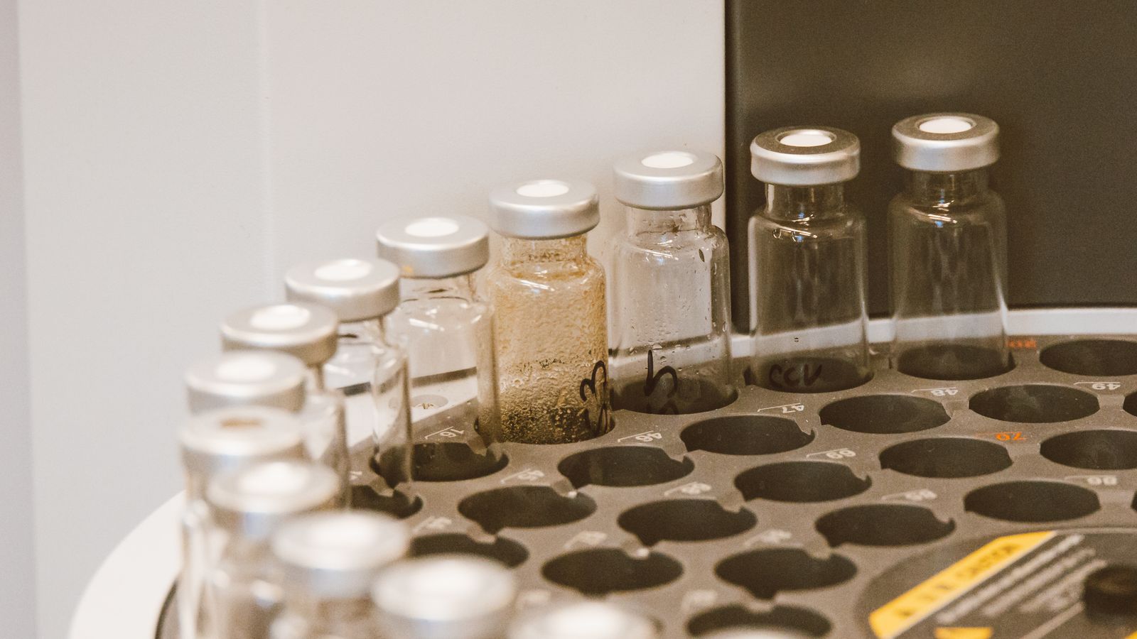 Vials arranged in a lab rack, showing a row of small containers organized for research use.